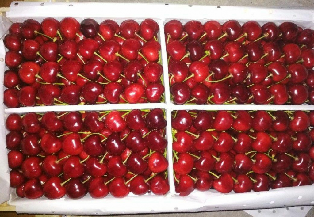 2131olcha.png 2131olcha.png